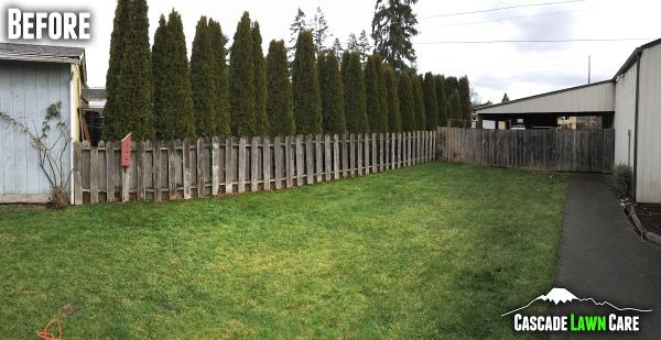 Cascade Lawn Care