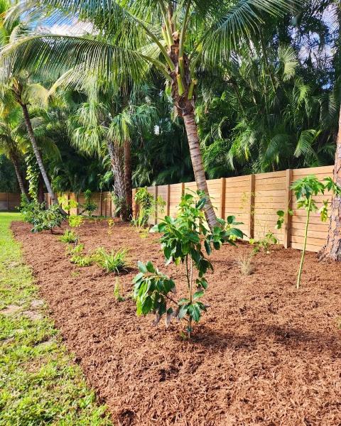 Food Forest DIY