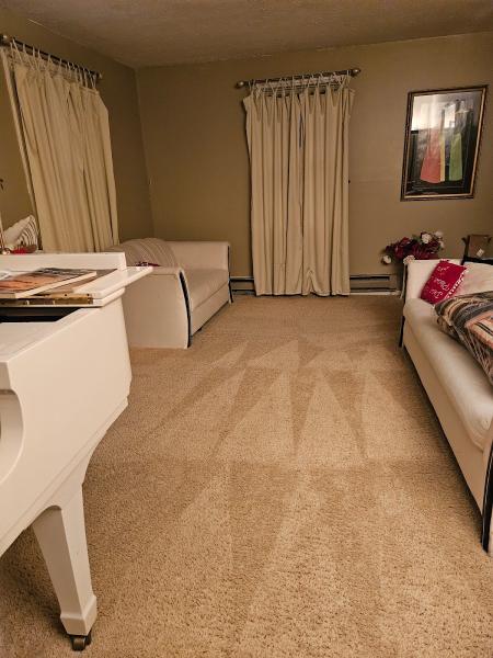 G-Force Carpet Cleaning