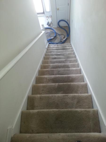 Classic Carpet Cleaning