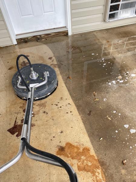 Shark Wash