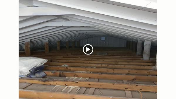 Mowatt Mold Removal Inc