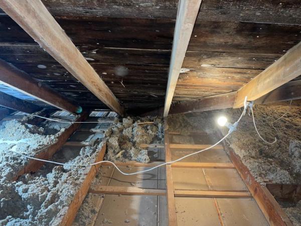 Mowatt Mold Removal Inc