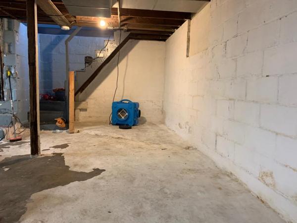 Mowatt Mold Removal Inc