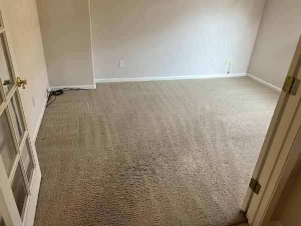 Pro Carpet & Tile Cleaning