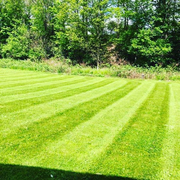 4seasons Express Landscaping Services