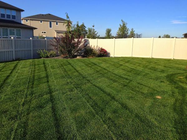 All Pro Lawn Service