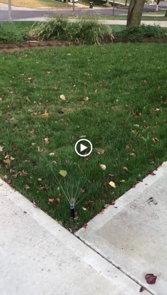 Custom Lawn & Landscape Inc.