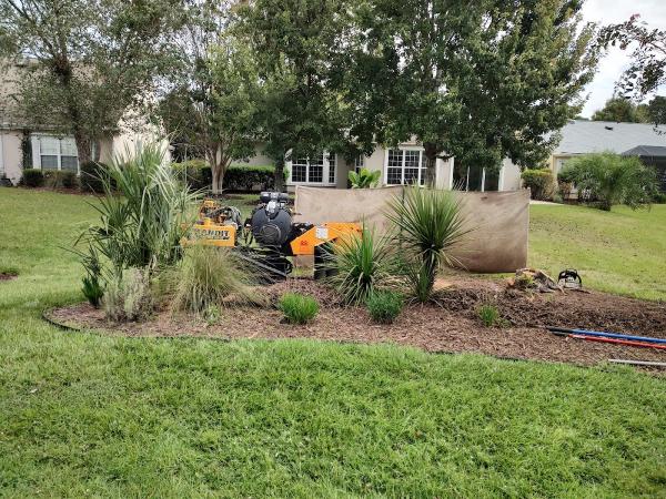 Southern Crab Stump Grinding