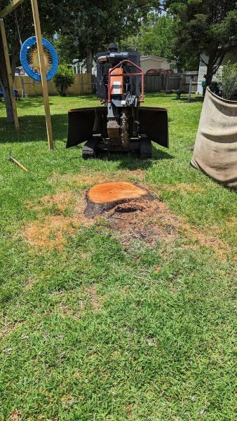 Southern Crab Stump Grinding