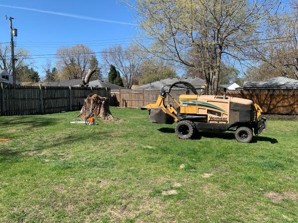 Action Tree Stump Removal Services