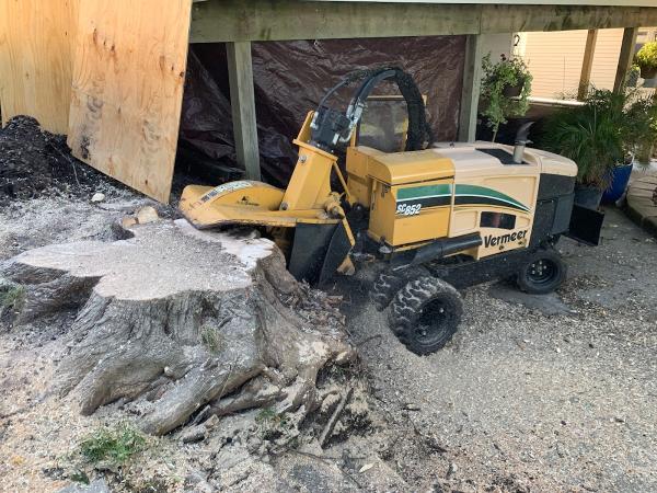 Action Tree Stump Removal Services