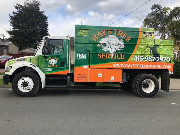 Ray's Tree Complete Service Inc.
