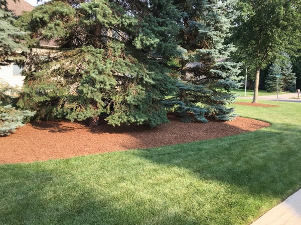 Ultimate Turf