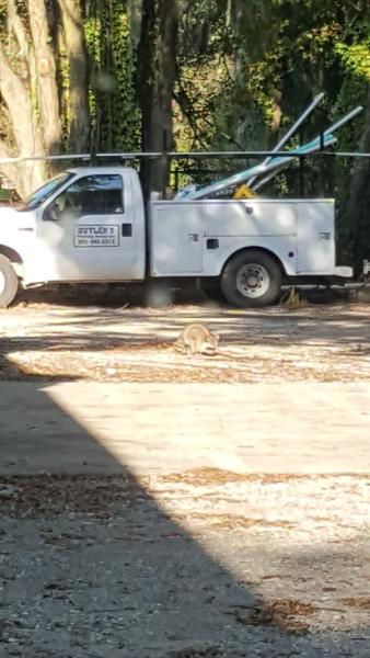 Butler's Plumbing
