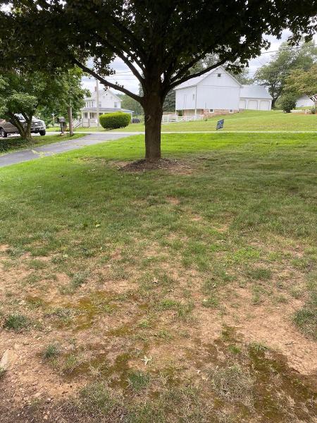 Lancaster Tree Care