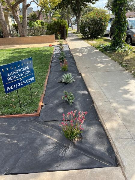 Exclusive Landscape Renovation