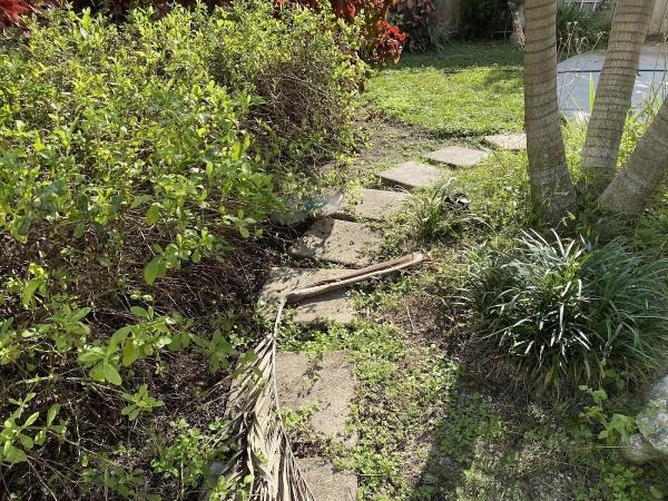Treasure Coast Lawn Maintenance LLC