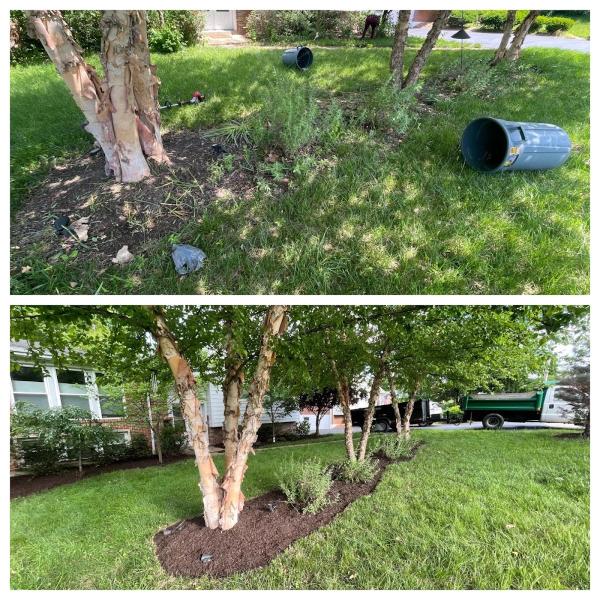 Lawn and Beyond LLC