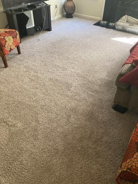 Capital Carpet and Services