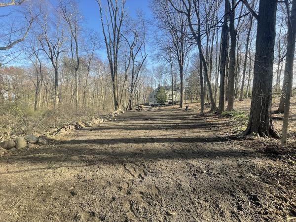 Genes1s Landscaping Services LLC