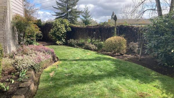 Amador's Services LLC