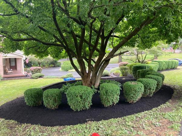 Ruell's Lawn Care