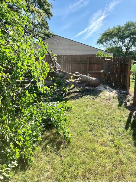 1st Choice R & R Tree Service