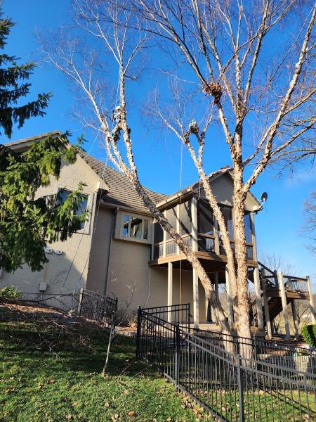 Family Tree Services LLC