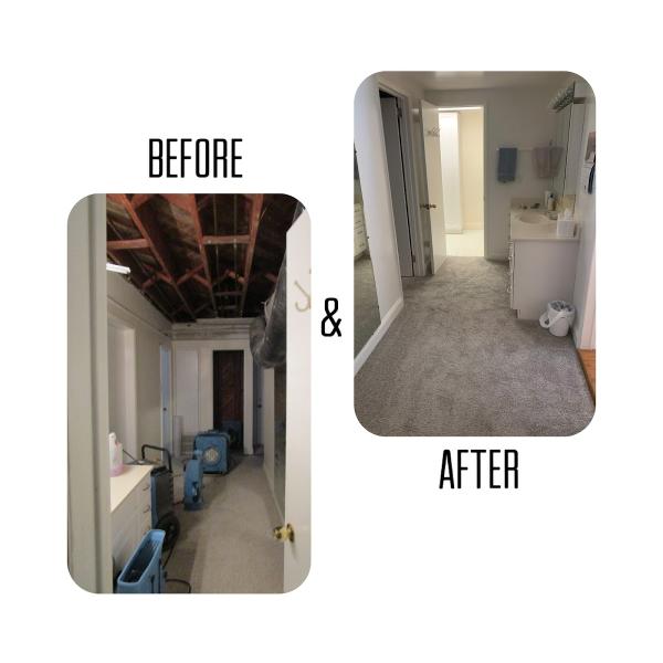 Renovation Pros