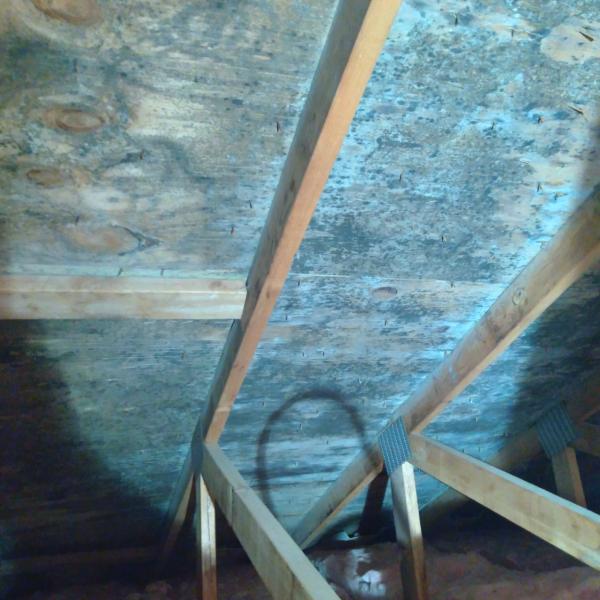 Farr's Mold Remediation