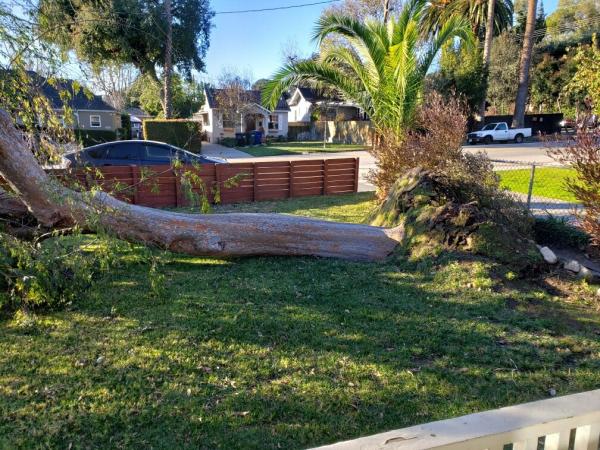 Lopez Tree Service