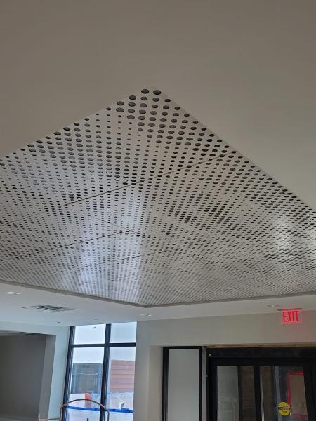Real Ceilings in Tampa