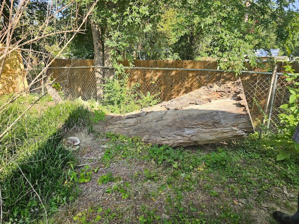 Piedmont Stump Grinding