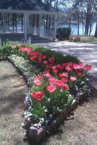 Boston Grounds Management