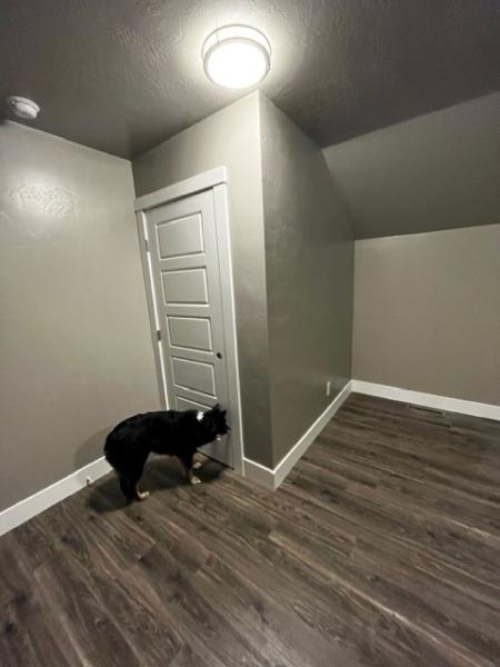 Fresh Look Remodel