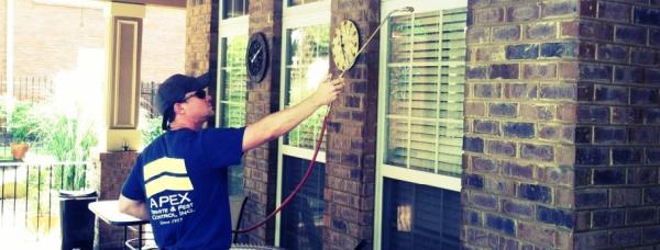 Apex Termite & Pest Control