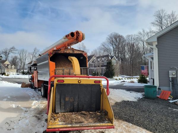 Mateo Landscaping and Tree Service