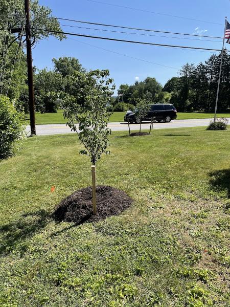 Pinehurst Landscape Company