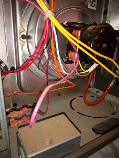 DO Well Carpet Cleaning