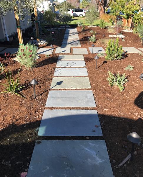 Paver Scaping