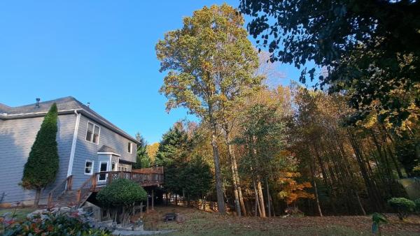 Atlanta Tree Movers LLC