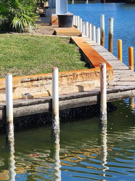 Adams Seawall Repair