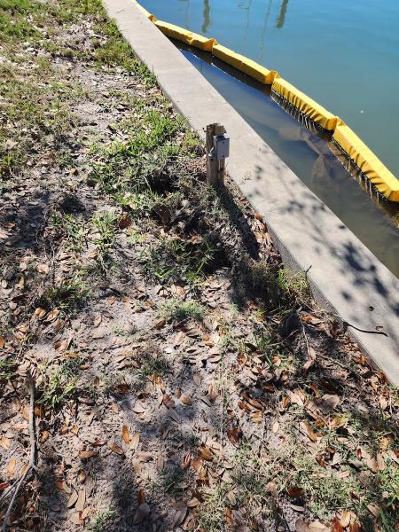 Adams Seawall Repair