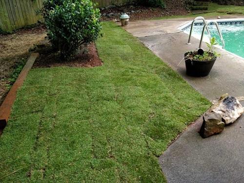 Walker's Landscaping Tree Service