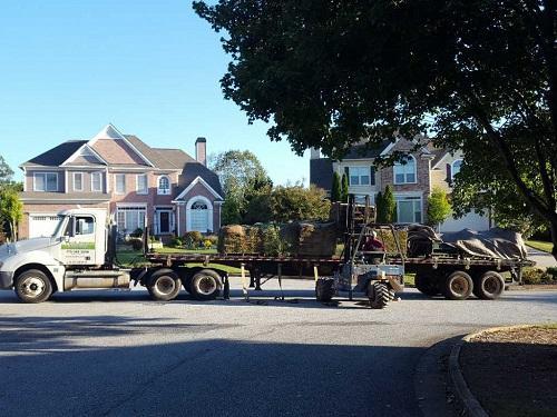 Walker's Landscaping Tree Service
