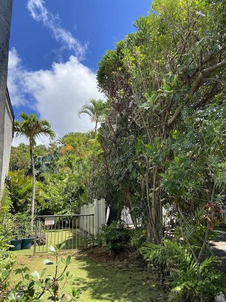 Ohana Tree Services