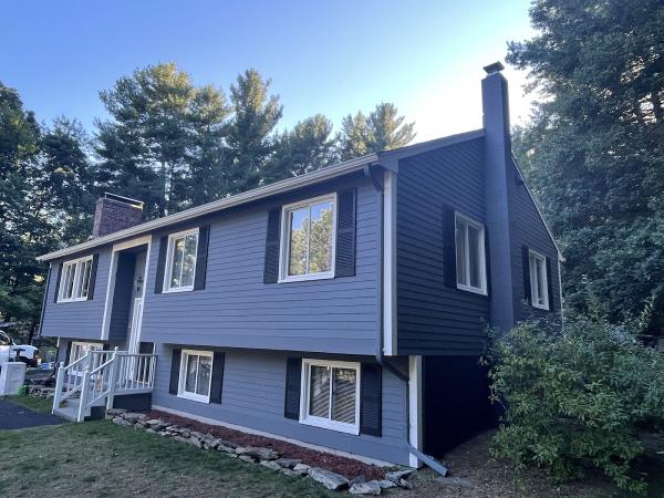 Ricci's Painting LLC