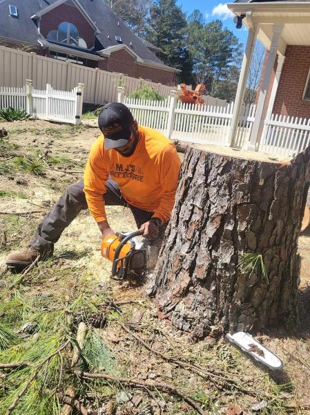 M.j's Tree Service LLC