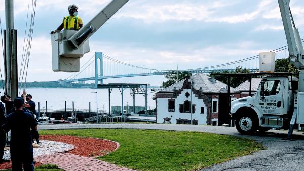 Lowest Price Tree Service and Arborist Consulting